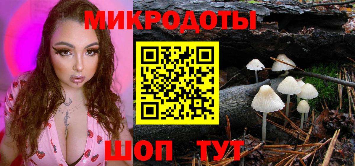 Галлюциногенные грибы Cubensis Орёл