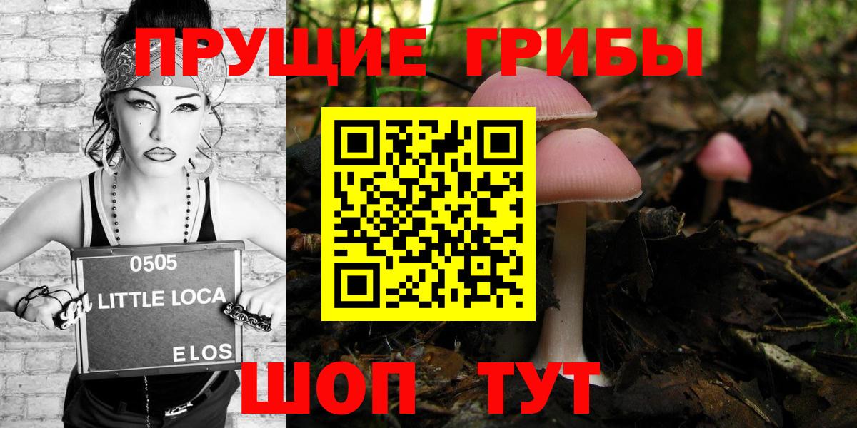 где можно купить   Псилоцибиновые грибы Cubensis  Вход с VPN  Орёл 